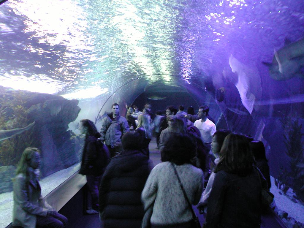 aquarium-tunnel-full.jpg