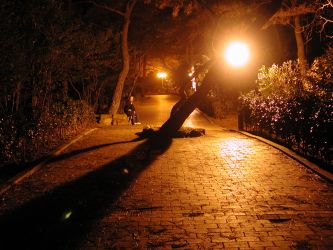 Dongbaek Park at night