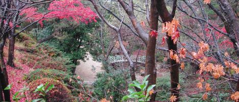 Autumn colors and arched footbridge in Geumgang Park