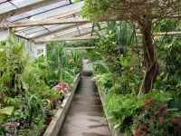Geumgang Park greenhouse