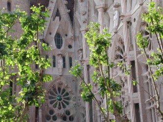 Cathedral exterior behind trees