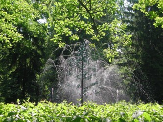 Little Oak Fountain