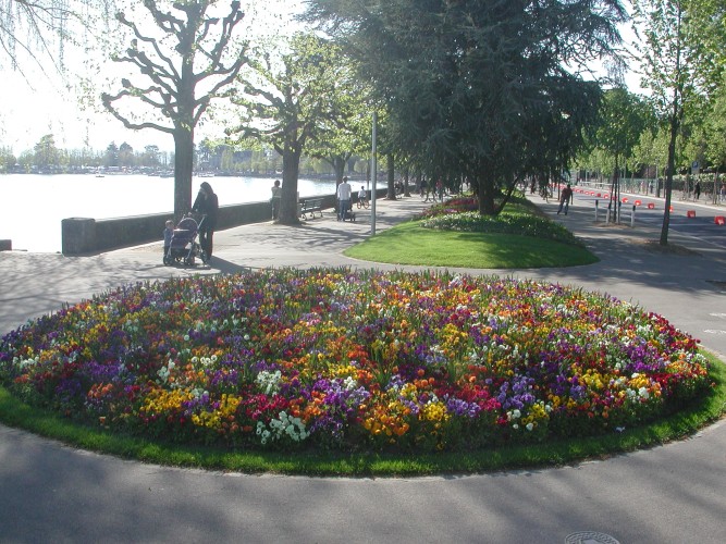 along the lake