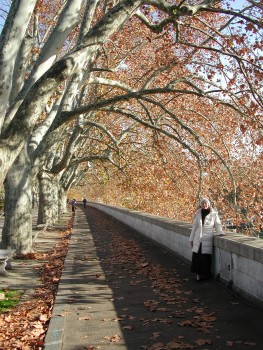 On the embankment of the Tiber