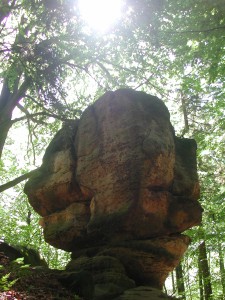 Sun shining through trees over balanced rock