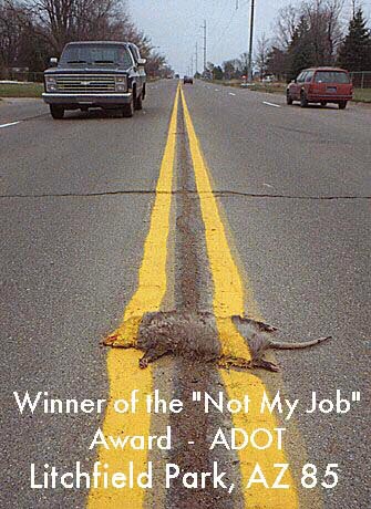 Not My Job Award